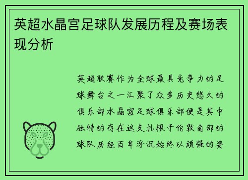 英超水晶宫足球队发展历程及赛场表现分析